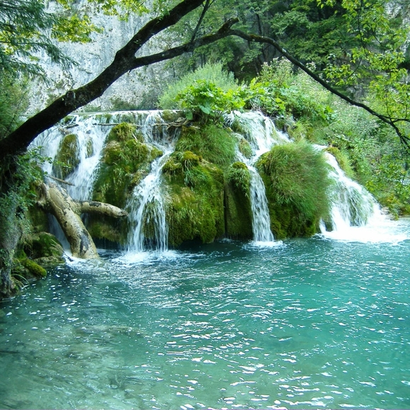 Cool Spring Soap for Men (and Women) - Picture 4 of 6